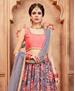 Picture of Elegant Grey Lehenga Choli