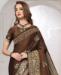 Picture of Beautiful Brown Designer Saree