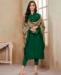 Picture of Taking Green Straight Cut Salwar Kameez