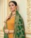 Picture of Beautiful Musterd Straight Cut Salwar Kameez