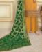 Picture of Beautiful Musterd Straight Cut Salwar Kameez