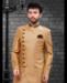 Picture of Alluring Beige Indo Western