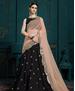 Picture of Enticing Black Lehenga Choli