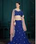 Picture of Charming Royal Blue Lehenga Choli