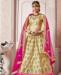 Picture of Nice Beige Lehenga Choli