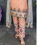 Picture of Well Formed Peach Straight Cut Salwar Kameez