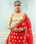 Picture of Pretty Red Lehenga Choli