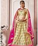 Picture of Nice Beige Lehenga Choli