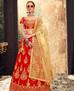 Picture of Delightful Red Lehenga Choli