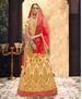 Picture of Nice Beige Lehenga Choli