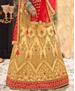 Picture of Nice Beige Lehenga Choli