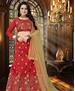 Picture of Sublime Red Lehenga Choli