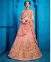 Picture of Elegant Dusty Peach Lehenga Choli