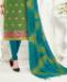 Picture of Sightly Green Straight Cut Salwar Kameez