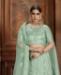 Picture of Alluring Sea Green Lehenga Choli