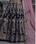 Picture of Appealing Navy Blue Anarkali Salwar Kameez