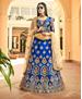 Picture of Delightful Blue Lehenga Choli