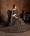 Picture of Marvelous Black Lehenga Choli