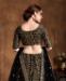 Picture of Marvelous Black Lehenga Choli