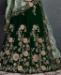 Picture of Taking Dark Green Lehenga Choli