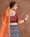 Picture of Elegant Blue Lehenga Choli