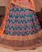 Picture of Elegant Blue Lehenga Choli