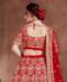 Picture of Grand Red Lehenga Choli