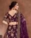 Picture of Classy Purple Lehenga Choli