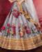 Picture of Appealing Grey Lehenga Choli