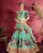 Picture of Classy Sea Green Lehenga Choli