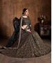 Picture of Marvelous Black Lehenga Choli