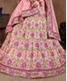 Picture of Appealing Baby Pink Lehenga Choli