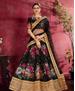 Picture of Pretty Black Lehenga Choli