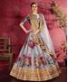 Picture of Appealing Grey Lehenga Choli