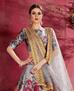 Picture of Appealing Grey Lehenga Choli