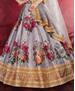 Picture of Appealing Grey Lehenga Choli