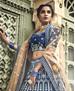 Picture of Delightful Blue Lehenga Choli