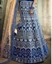 Picture of Delightful Blue Lehenga Choli