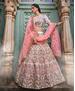 Picture of Splendid White Lehenga Choli