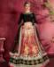 Picture of Pretty Multicolor Lehenga Choli