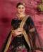 Picture of Bewitching Black Lehenga Choli