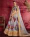 Picture of Delightful Grey Lehenga Choli