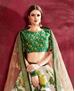 Picture of Beauteous Cream Lehenga Choli