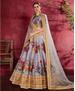 Picture of Delightful Grey Lehenga Choli