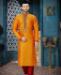 Picture of Admirable Peach Kurtas