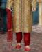 Picture of Statuesque Dark Gold Kurtas