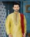 Picture of Enticing Navy Blue Kurtas