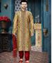 Picture of Statuesque Dark Gold Kurtas