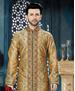 Picture of Statuesque Dark Gold Kurtas