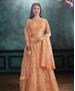 Picture of Bewitching Orange Lehenga Choli